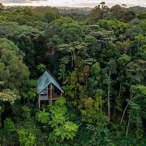 Rose Gums Wilderness Retreat Lodge Butchers Creek